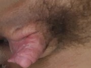 Part 1 I gave my dog a nice hose bath on a hot day and she got all wet 14/16