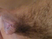 Part 1 I gave my dog a nice hose bath on a hot day and she got all wet 8/16