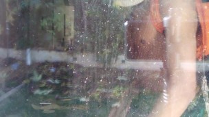 A treat for loyal dogs ONLY