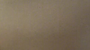 Bela com uma bunda grande fode apaixonadamente