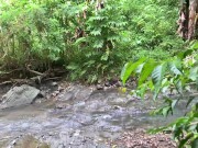 Pinay Girlfriend  Kinantut sa Tabing Ilog - Angeline Cruz 1/16