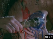 Fairytale beauty fucks herself to orgasm with a brush handle 6/16