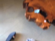 Le lleno de leche el culo de mi amiga mientras vemos un podcast en Monterrey 16/16