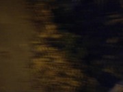 PIG SLUT big tits stepmom on leash sucking fat cock in public 6/16