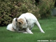 NTR2 —— The confessions of an unfaithful wife 1/16