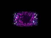 Daisy Lavoy As Spider GWEN STACY Wants To Show You How Much She Has Been Missing You 1/16