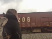 bradley junction trackspt2/ mollys confections 16/16