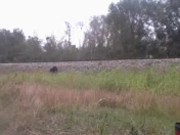 bradley junction trackspt2/ mollys confections 8/16