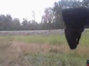 bradley junction trackspt2/ mollys confections 9/16