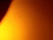 just naked again 13/16