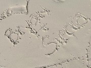 Teddy Tarantino Presents : Bryan & Sisi episode 12 16/16