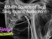 Audio Only: Fuck me hard! Push my legs apart and cum inside me! 13/16