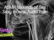 Audio Only: Fuck me hard! Push my legs apart and cum inside me! 8/16