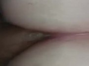 Kitty wanted some quick anal 8/16