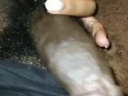 PRETTY BREASTS TITTY SUCK BEFORE BIG BLACK BALLS GETS ATE UP!!!!!!!! 15/16