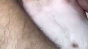 Pale MAGA Stud Breeds Hairy Latino (POV)