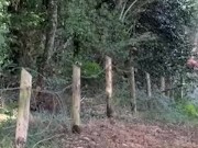 Je marche cul nu, sur un chemin 10/16