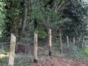 Je marche cul nu, sur un chemin 11/16