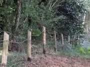 Je marche cul nu, sur un chemin 12/16