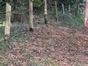 Je marche cul nu, sur un chemin 6/16