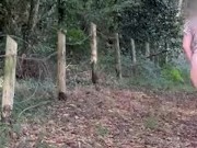 Je marche cul nu, sur un chemin