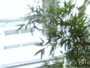 8TeenHub - Cute Latina Pietra Raifer loves a good outdoor fuck with the warmth of the sun on her skin 3/16