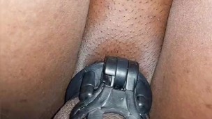 Ladyboy piss walking while chastity cage hypospedias penis which make pissing hard