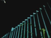 Paramos Numa Praça De Madrugada 16/16