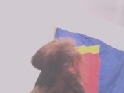 Exnovia le dije que si podia venir a chuparme la verga yle en canta chuparmela 9/16