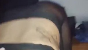 gata en celo tomando leche