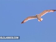 The busty blonde gets sodomized on a beach 5/16
