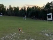 Hand Launch and Land with Racing Drone 🤯🤯🚀🚀 10/16