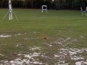 Hand Launch and Land with Racing Drone 🤯🤯🚀🚀 8/16