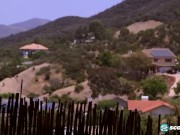 River Fox Likes It Wet 1/16