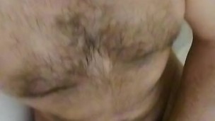 Brown cock