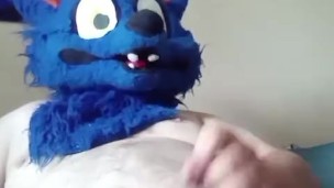 Naughty wolf furry