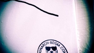 MONARCH-BDSM(BARONET)13.4