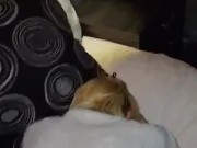 Je la réveille à lui baisant la 🐱 8/16