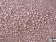 Hot MILF Cashmere Has Sex With Her Son's Friend 1/16