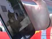 Hot Bomb Babe Gives Best BlowJobs In Hot Sex Clips 1/16