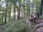 Juicy pieces of mature fuckmeat ready to serve 😋 13/16