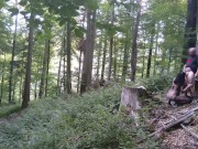 Juicy pieces of mature fuckmeat ready to serve 😋 16/16