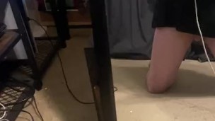 Cute pup shows of new collar and leash