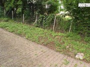 TOP 5 AMATEUR EURO BBW COMPILATION 13/16