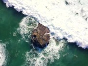 2-----fast-----not-----satisfied 1/16