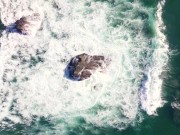 2-----fast-----not-----satisfied 14/16