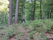 A natural DUMB wife cum slut fuck toy born to be used 2/16