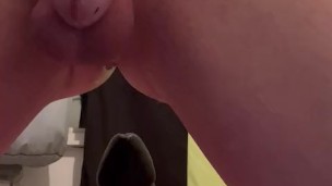 Locked puppy spreading his hole