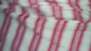 mi gata le gusta duro contra la pared