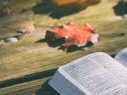 Leviticus 20-23 KJV (Full Bible Read Through Video #23) 5/16